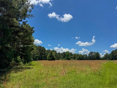 For the first time in decades, this remarkable 231 acre East - photo 15