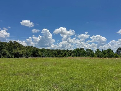 For the first time in decades, this remarkable 231 acre East - photo 16
