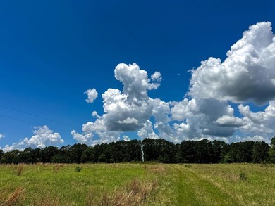 For the first time in decades, this remarkable 231 acre East - photo 17