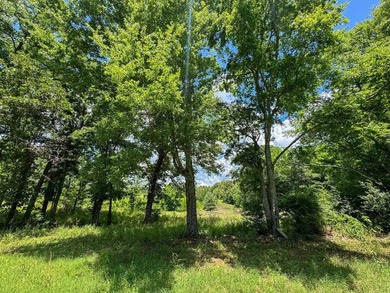 For the first time in decades, this remarkable 231 acre East - photo 18