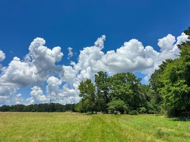 For the first time in decades, this remarkable 231 acre East - photo 19