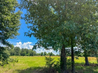 For the first time in decades, this remarkable 231 acre East - photo 20