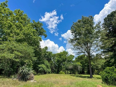 For the first time in decades, this remarkable 231 acre East - photo 21
