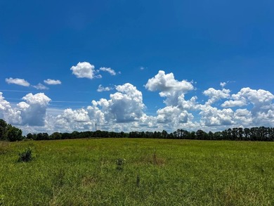 For the first time in decades, this remarkable 231 acre East - photo 22
