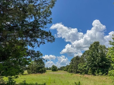 For the first time in decades, this remarkable 231 acre East - photo 23
