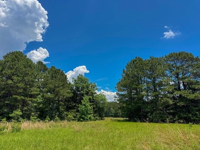 For the first time in decades, this remarkable 231 acre East - photo 24