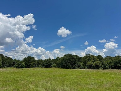 For the first time in decades, this remarkable 231 acre East - photo 25