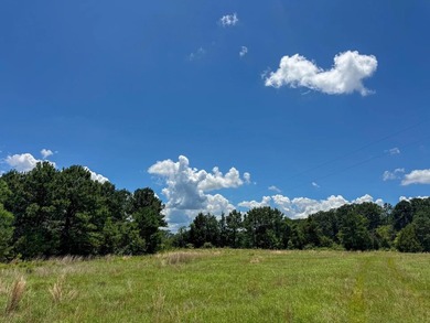 For the first time in decades, this remarkable 231 acre East - photo 26