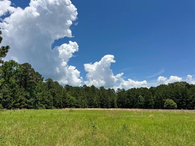 For the first time in decades, this remarkable 231 acre East - photo 27