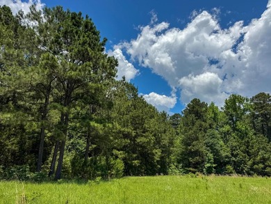 For the first time in decades, this remarkable 231 acre East - photo 28