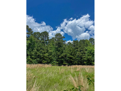 For the first time in decades, this remarkable 231 acre East - photo 30