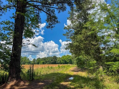 For the first time in decades, this remarkable 231 acre East - photo 31