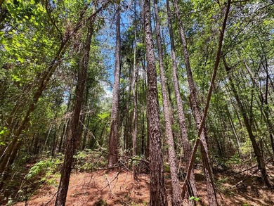 For the first time in decades, this remarkable 231 acre East - photo 32