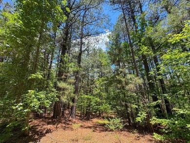 For the first time in decades, this remarkable 231 acre East - photo 33
