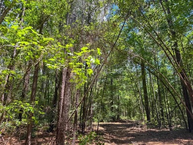 For the first time in decades, this remarkable 231 acre East - photo 34