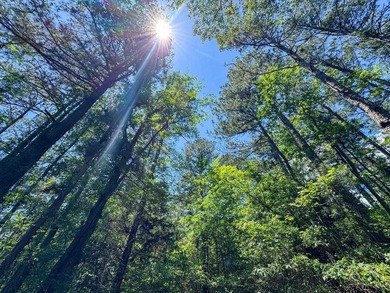 For the first time in decades, this remarkable 231 acre East - photo 36