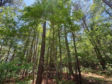 For the first time in decades, this remarkable 231 acre East - photo 38