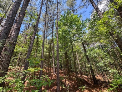 For the first time in decades, this remarkable 231 acre East - photo 39
