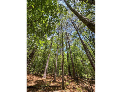 For the first time in decades, this remarkable 231 acre East - photo 40