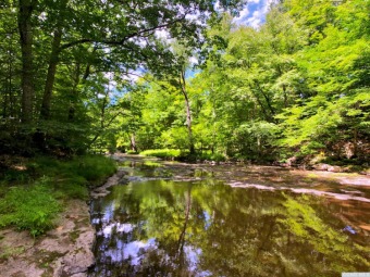Lake Lot Off Market in Greenville, New York