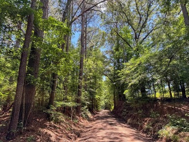 For the first time in decades, this remarkable 231 acre East - photo 42
