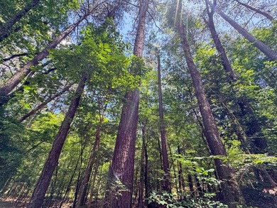 For the first time in decades, this remarkable 231 acre East - photo 43