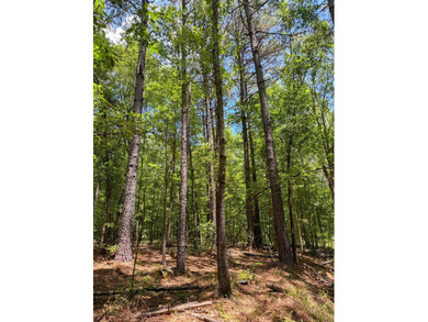 For the first time in decades, this remarkable 231 acre East - photo 44