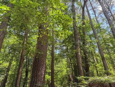 For the first time in decades, this remarkable 231 acre East - photo 45