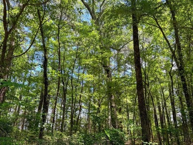 For the first time in decades, this remarkable 231 acre East - photo 47