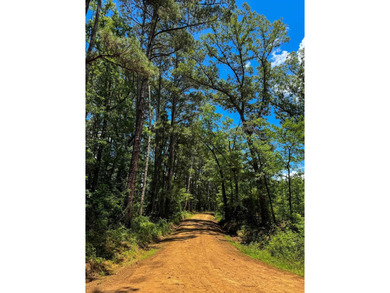 For the first time in decades, this remarkable 231 acre East - photo 49