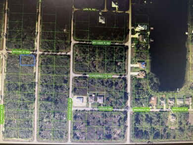 Lake Placid - Highland County Lot For Sale in Lake Placid Florida