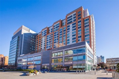 Spacious and sun-filled high-floor 2-bedroom, 2-bath apartment - photo 3