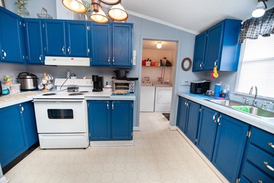 This 3 bedroom, 2 bath manufactured home is on a level .60 acre - photo 8