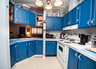 This 3 bedroom, 2 bath manufactured home is on a level .60 acre - photo 9