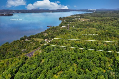 Penobscot River Acreage For Sale in Penobscot Maine