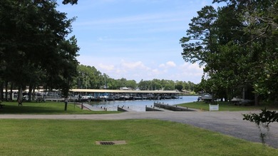 Enjoy the lake lifestyle in Cape Royale on beautiful Lake - photo 22