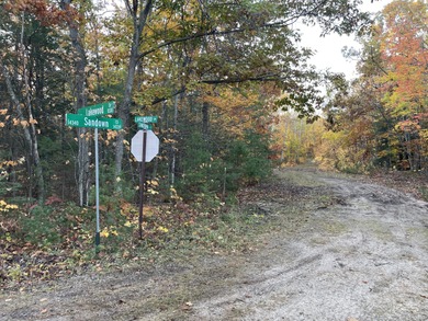 Lake Huron - Cheboygan County Lot Sale Pending in Cheboygan Michigan