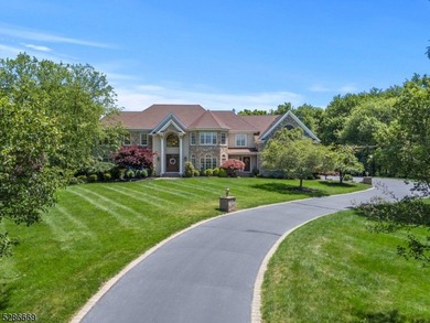 Magnificent 6000sf+- French Provincial Estate Custom Home w - photo 1