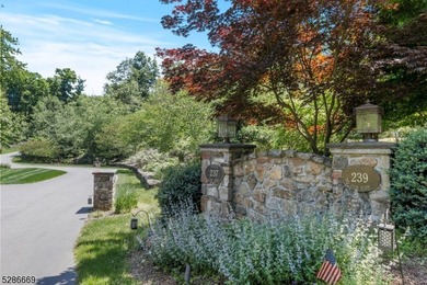Magnificent 6000sf+- French Provincial Estate Custom Home w - photo 2