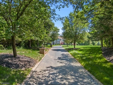 Magnificent 6000sf+- French Provincial Estate Custom Home w - photo 3