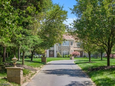 Magnificent 6000sf+- French Provincial Estate Custom Home w - photo 4