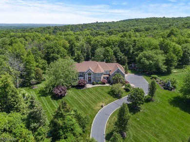 Magnificent 6000sf+- French Provincial Estate Custom Home w - photo 5