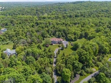 Magnificent 6000sf+- French Provincial Estate Custom Home w - photo 6