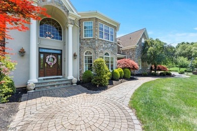 Magnificent 6000sf+- French Provincial Estate Custom Home w - photo 7
