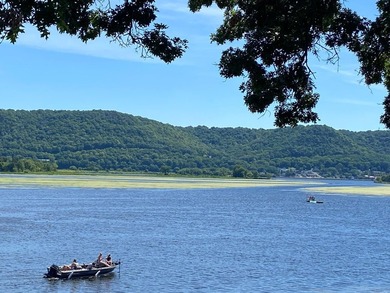 Welcome to riverfront living in Wabasha, where the Mississippi - photo 30