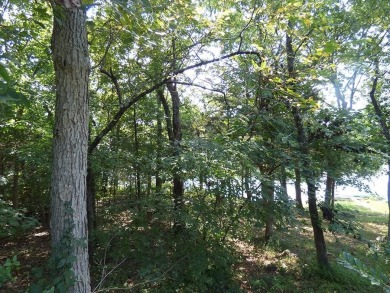 Lake Lot For Sale in Cherokee Village, Arkansas