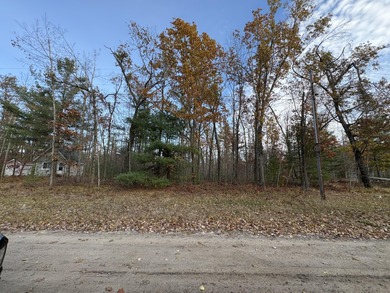 Lake Avalon Lot For Sale in Hillman Michigan