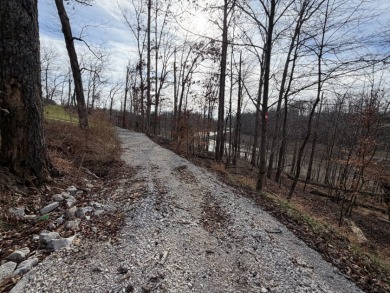 Building Lot with Dock Space Available - photo 11