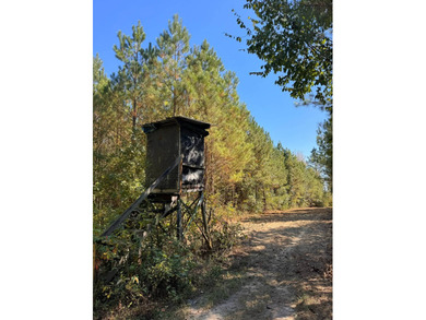 Lake Acreage For Sale in Cuba, Alabama