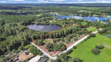 Lake Acreage For Sale in Odessa, Florida